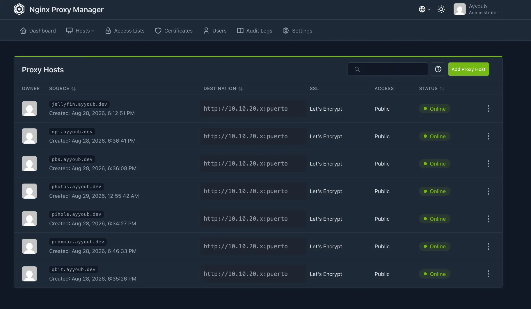 Nginx Proxy Manager, proxy host list: jellyfin, npm, pbs, photos, pihole, proxmox and qbit under ayyoub.dev, all with a Let's Encrypt certificate and online; the destination column is covered
